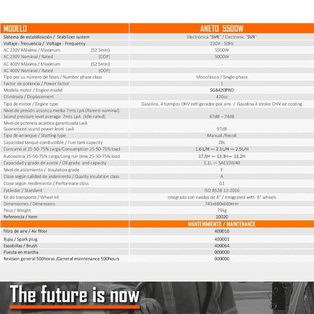 Generador Gasolina GENERGY Aneto 5500W - Imagen 2