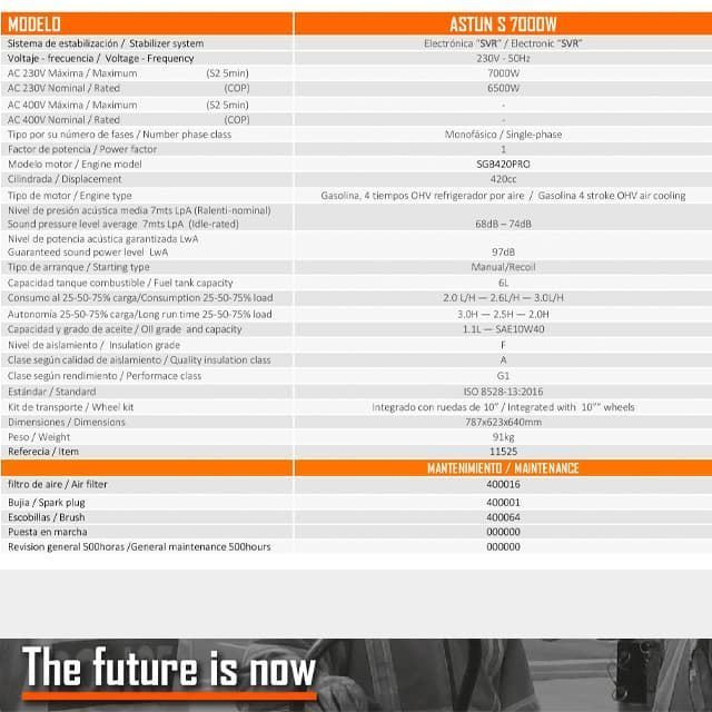 Generador Gasolina GENERGY Astun 7000W Pro-S - Imagen 2
