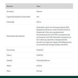 Generador Gasolina LONCIN GH4500 AVR - Imagen 2